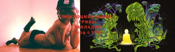 винт Абаза