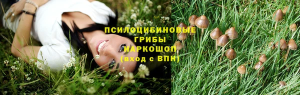 винт Абаза
