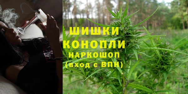гидропоника Алзамай