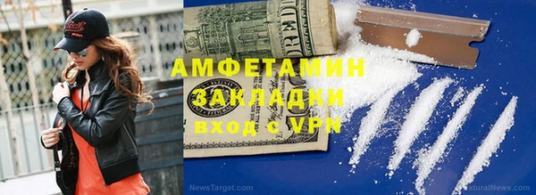 шишки Пересвет