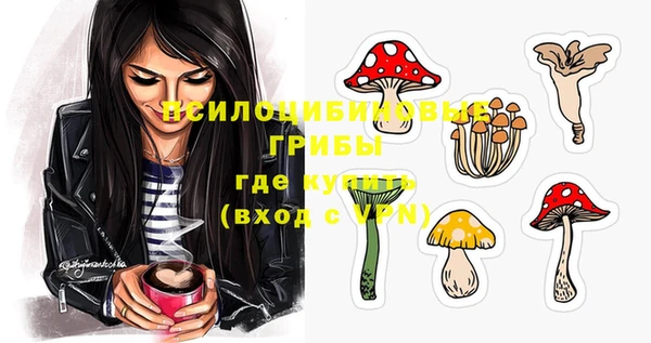 гидропоника Алзамай