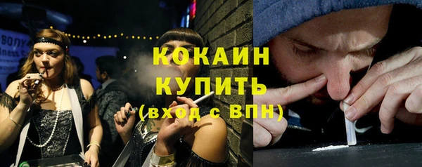 винт Абаза