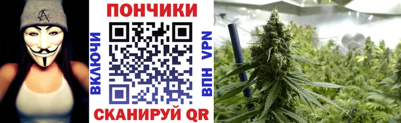 Бошки марихуана VHQ  купить наркоту  Кизилюрт 